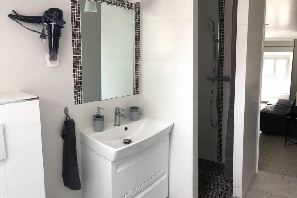 Duplex Bellifontain Au Coeur De Fontainebleau Apartment ภายนอก รูปภาพ